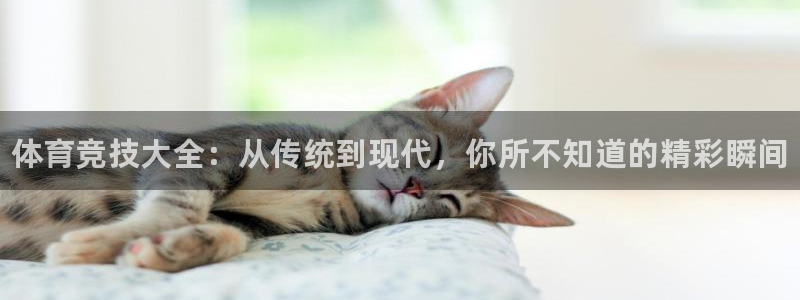 千亿国际官方正版app娱乐首页官网下载