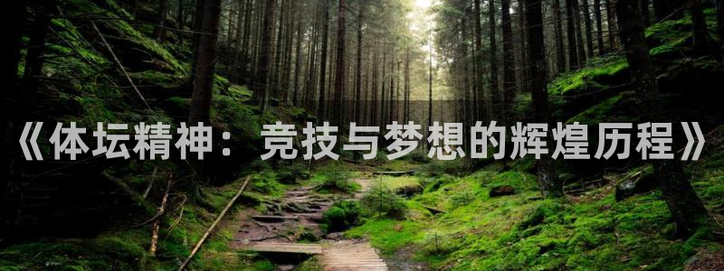 千亿国际官方正版app集团简介：《体坛精神：竞技与梦