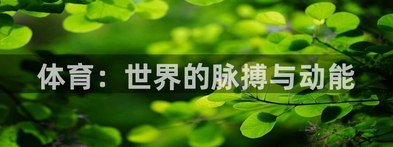 千亿国际官方正版app娱乐是那个系列的台子：体育：世