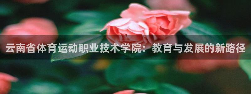 千亿国际官网下载招商电话地址查询：云南省体育运动职业