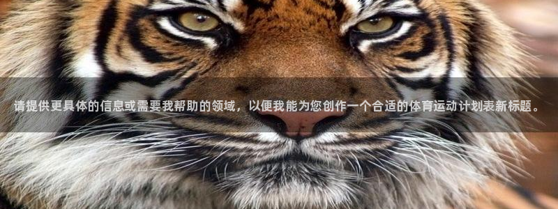 千亿国际官网下载软件：请提供更具体的信息或需要我帮助