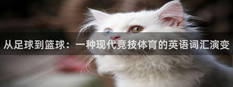 千亿国际官方正版app官网：从足球到篮球：一种现代竞