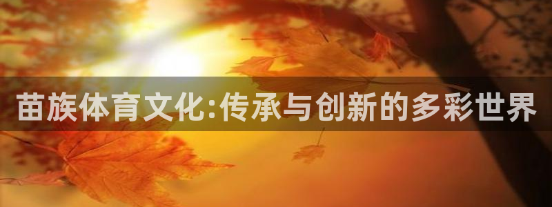 千亿国际官网下载平台注册要钱吗：苗族体育文化:传承与