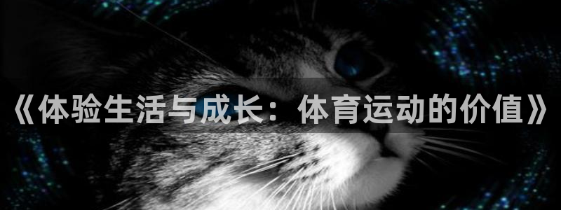 千亿国际官方正版app娱乐40996