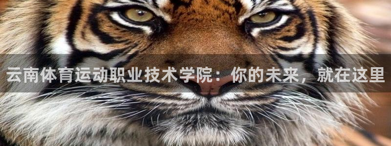 千亿国际官方集团官网：云南体育运动职业技术学院：你的