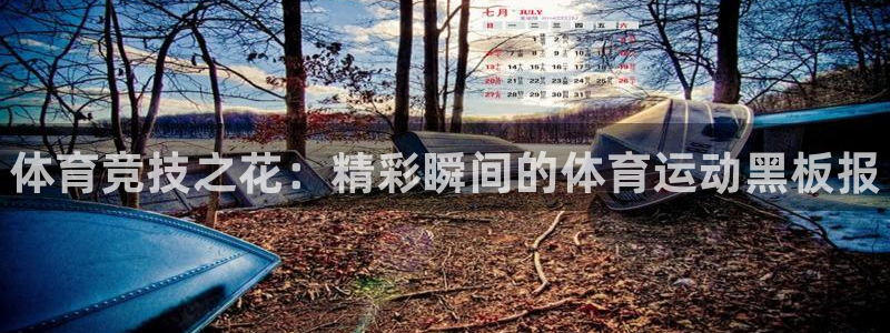 千亿国际官网下载官方客服电话：体育竞技之花：精彩瞬间