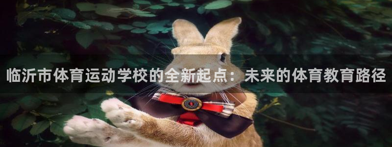 千亿国际官方正版app娱乐首页官网下载：临沂市体育运