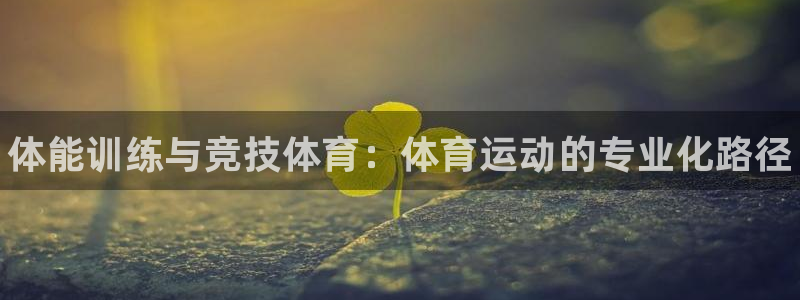 千亿国际官方正版app新能源：体能训练与竞技体育：体育运动的
