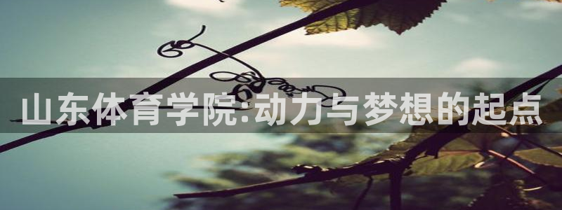 千亿国际官方正版app官方：山东体育学院:动力与梦想的起点
