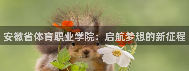 海南千亿国际官网下载：安徽省体育职业学院：启航梦想的新征程