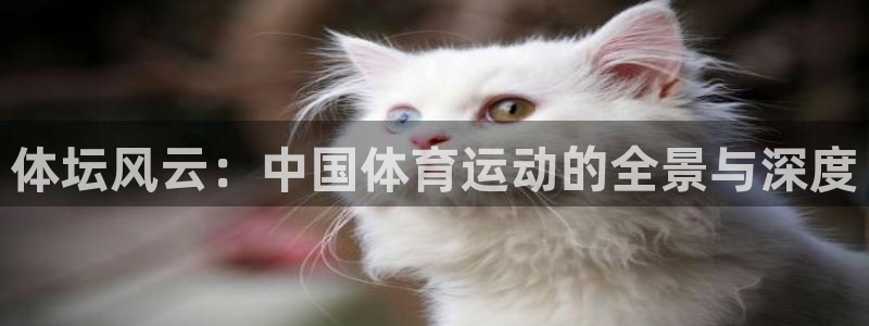 千亿国际官网下载平台注册要钱吗：体坛风云：中国体育运动的全景