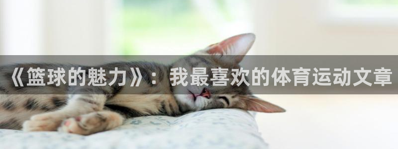 千亿国际官方正版app神州：《篮球的魅力》：我最喜欢的体育运