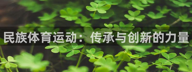 千亿国际官方正版app五金厂：民族体育运动：传承与创