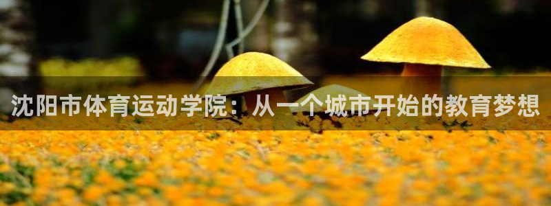 千亿国际官网下载软件：沈阳市体育运动学院：从一个城市