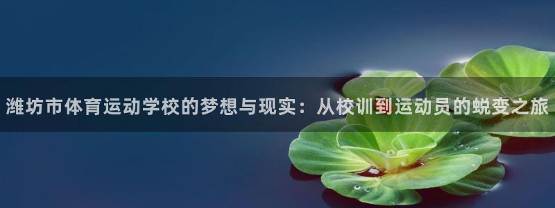 千亿国际官方正版app娱乐：潍坊市体育运动学校的梦想