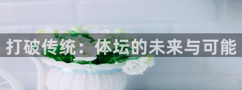 千亿国际官方正版app娱乐是那个系列的台子：打破传统