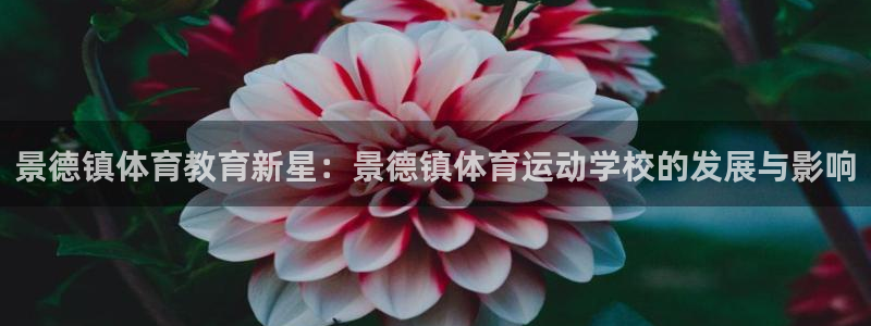 千亿国际官网下载平台是正规平台吗知乎：景德镇体育教育