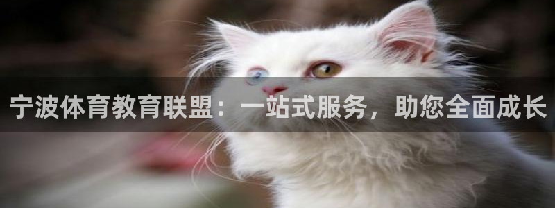 千亿国际官方正版app集团logo：宁波体育教育联盟