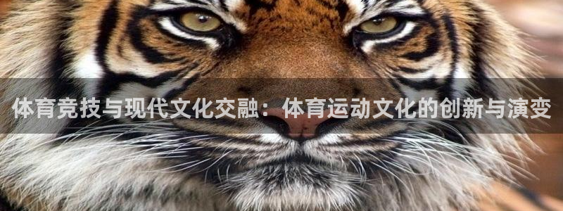 千亿国际官网下载娱乐