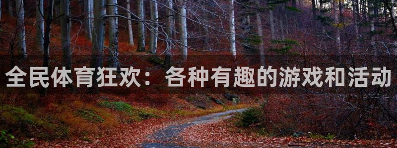 千亿国际官方正版app娱乐：全民体育狂欢：各种有趣的游戏和活