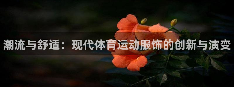 千亿国际官方正版app集团简介