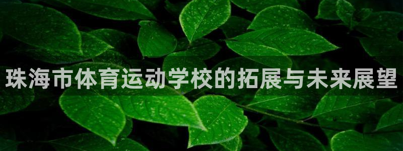 海南千亿国际官网下载：珠海市体育运动学校的拓展与未来展望
