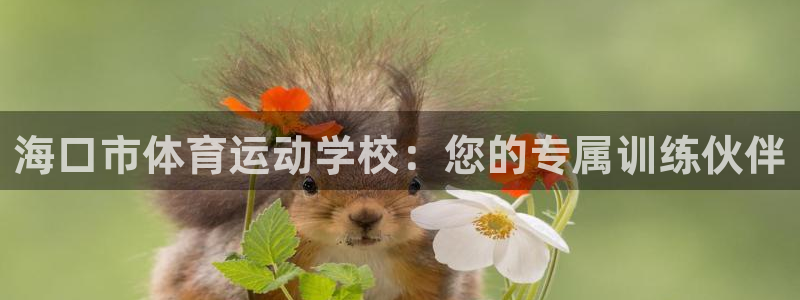 千亿国际官方正版app集团简介：海口市体育运动学校：您的专属