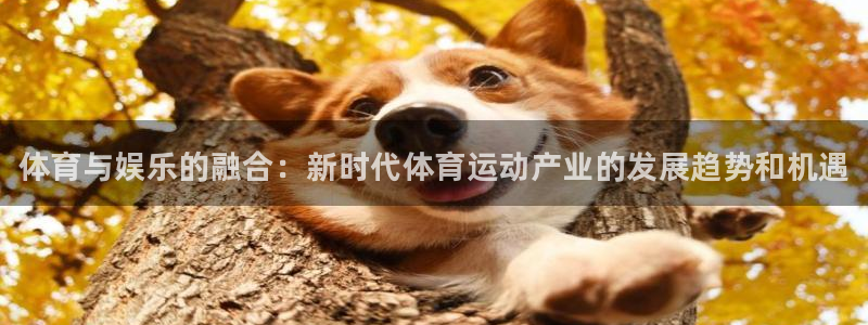 千亿国际官网下载招商电话