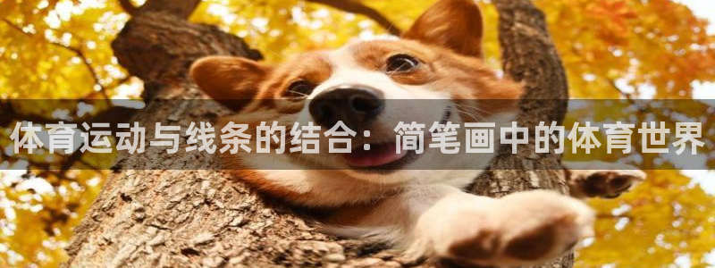 海南千亿国际官网下载：体育运动与线条的结合：简笔画中的体育世