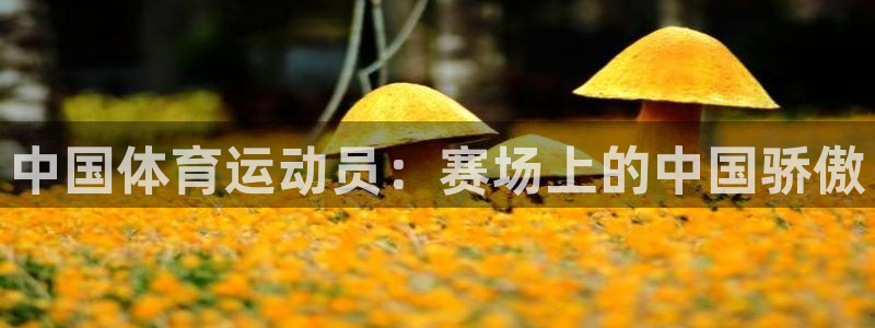 千亿国际官网下载平台是正规平台吗：中国体育运动员：赛场上的中