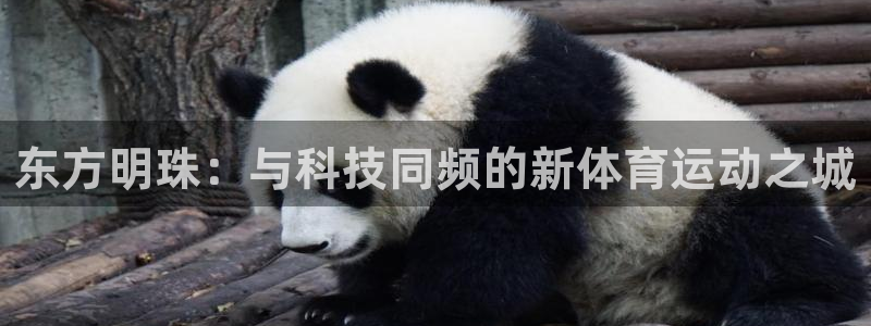 千亿国际官网下载平台：东方明珠：与科技同频的新体育运动之城