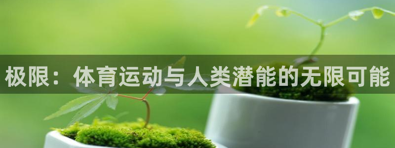 千亿国际官方正版app娱乐网站：极限：体育运动与人类