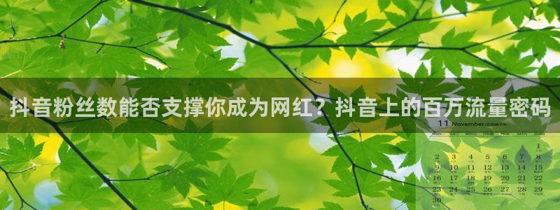 新球体育比分网：抖音粉丝数能否支撑你成为网红？抖音上的百万流量密码