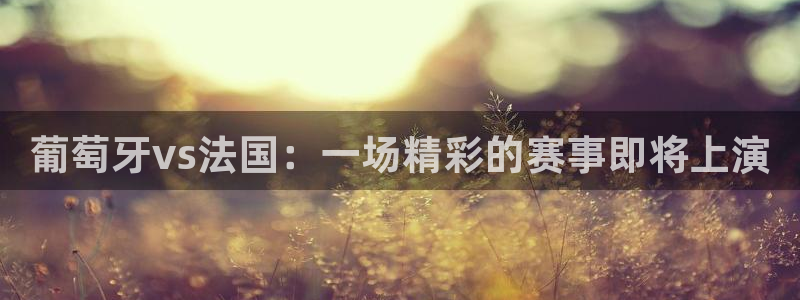 新球体育足球比分：葡萄牙vs法国：一场精彩的赛事即将上演