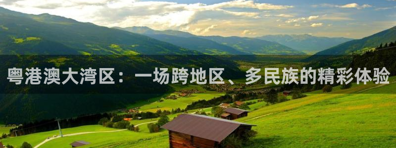 新球体育app：粤港澳大湾区：一场跨地区、多民族的精彩体验