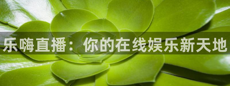 新球网直播：乐嗨直播：你的在线娱乐新天地