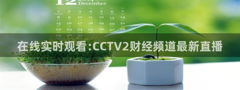 新球体育比分网：在线实时观看:CCTV2财经频道最新直播